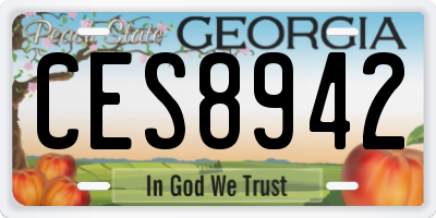 GA license plate CES8942