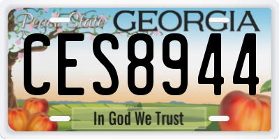 GA license plate CES8944