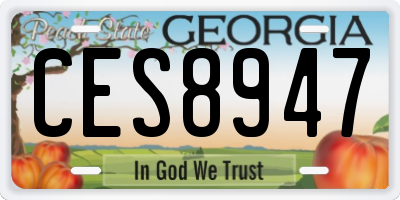 GA license plate CES8947