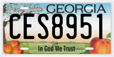 GA license plate CES8951