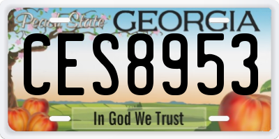 GA license plate CES8953