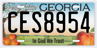 GA license plate CES8954