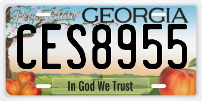 GA license plate CES8955