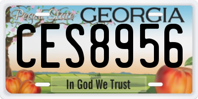 GA license plate CES8956