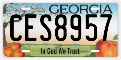 GA license plate CES8957