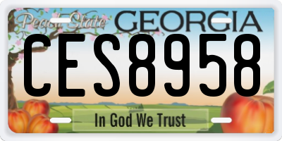 GA license plate CES8958