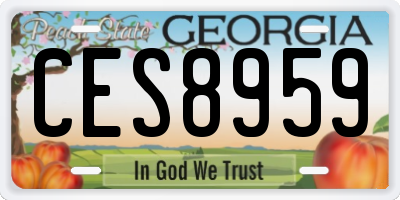 GA license plate CES8959