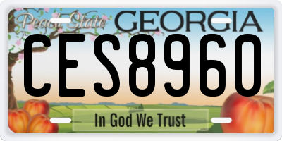 GA license plate CES8960