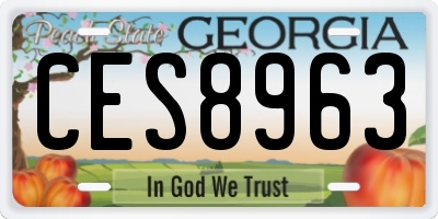 GA license plate CES8963