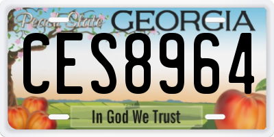 GA license plate CES8964
