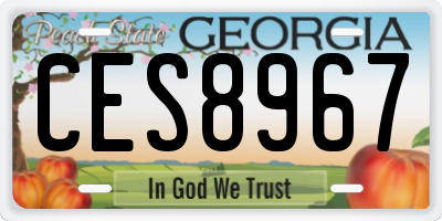 GA license plate CES8967