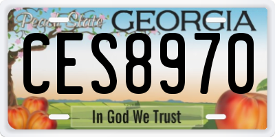GA license plate CES8970