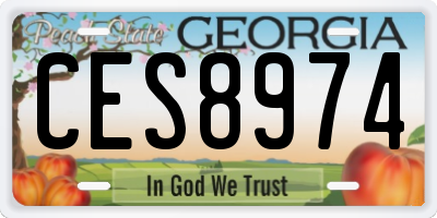 GA license plate CES8974