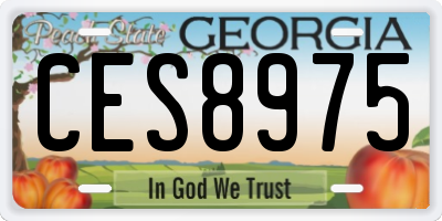 GA license plate CES8975