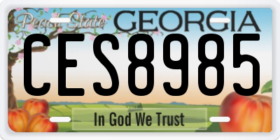 GA license plate CES8985