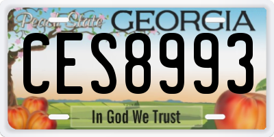 GA license plate CES8993