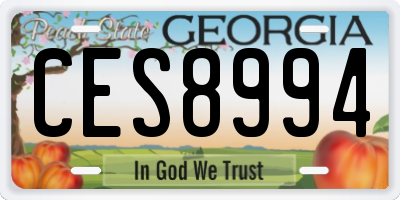 GA license plate CES8994