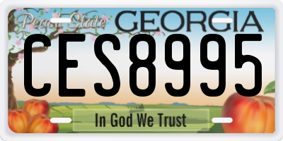 GA license plate CES8995