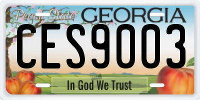 GA license plate CES9003