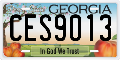 GA license plate CES9013