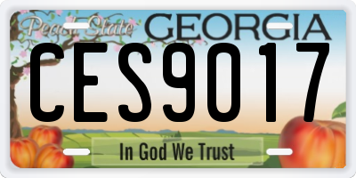GA license plate CES9017