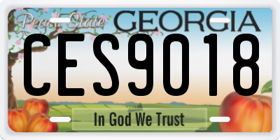 GA license plate CES9018