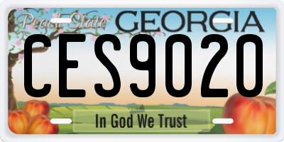 GA license plate CES9020
