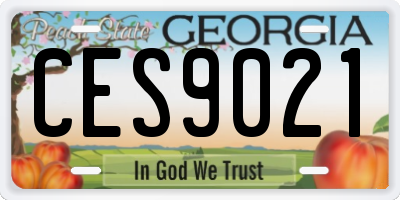 GA license plate CES9021