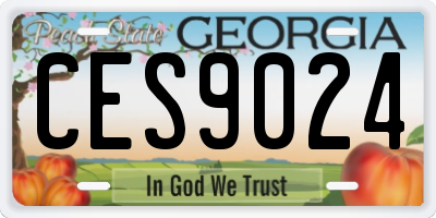 GA license plate CES9024
