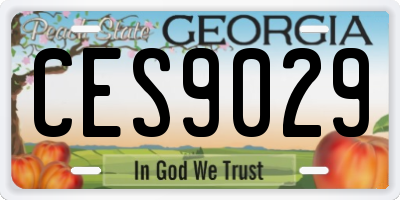 GA license plate CES9029