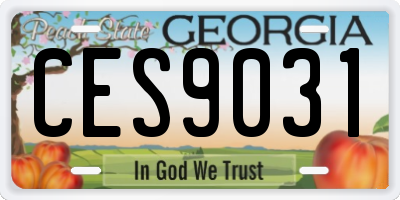 GA license plate CES9031