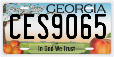 GA license plate CES9065