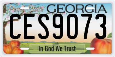 GA license plate CES9073