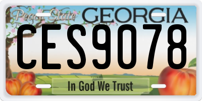 GA license plate CES9078