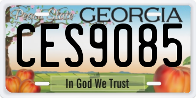 GA license plate CES9085