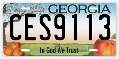 GA license plate CES9113