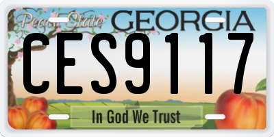 GA license plate CES9117