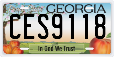 GA license plate CES9118