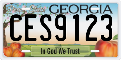 GA license plate CES9123