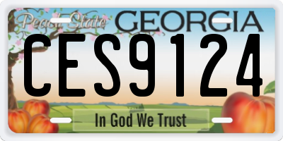 GA license plate CES9124