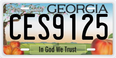 GA license plate CES9125