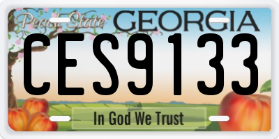GA license plate CES9133