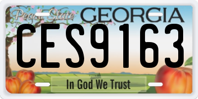 GA license plate CES9163