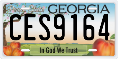 GA license plate CES9164