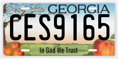 GA license plate CES9165