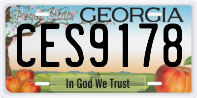 GA license plate CES9178