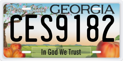 GA license plate CES9182