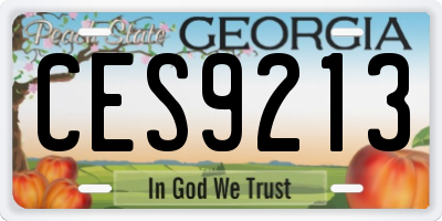GA license plate CES9213