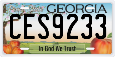 GA license plate CES9233