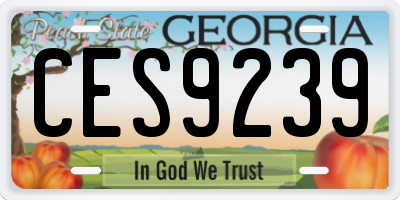 GA license plate CES9239